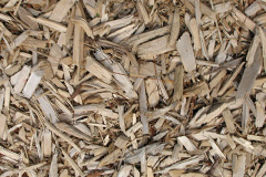 biomass boilers Coupar Angus